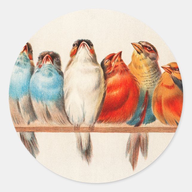 Sticker Rond Oiseaux Assis joliment et calme (Devant)