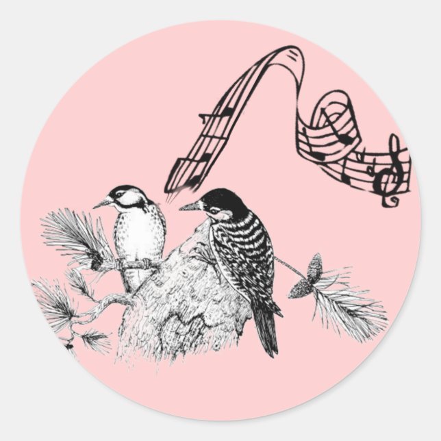 Sticker Rond Oiseaux vintages (Devant)