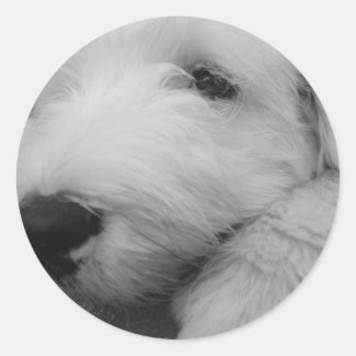 Sticker Rond Old English Sheepdog