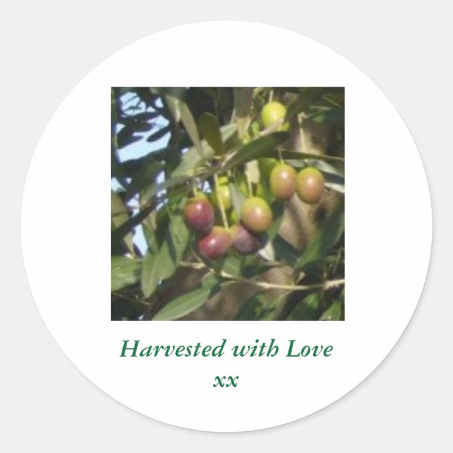 Sticker Rond Olives rides (Devant)