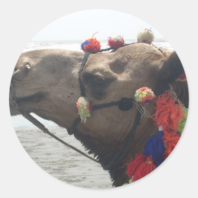 Sticker Rond Oman Mascate Photo Art (Devant)