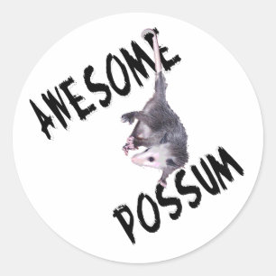 Sticker Rond Opossum Possum génial