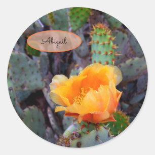 Sticker Rond Orange Cactus Fleur Blossom Prickly Pear Opuntia