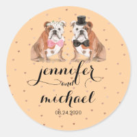 Orange English Bulldog mariage