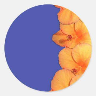 Sticker Rond Orange Hawaiian Hibiscus Fleurs