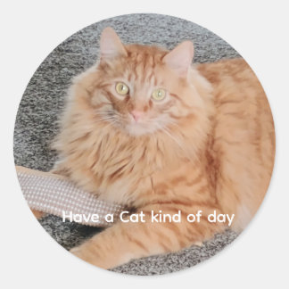 Sticker Rond Orange Tabby cat 