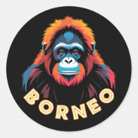 Orangutan Borneo