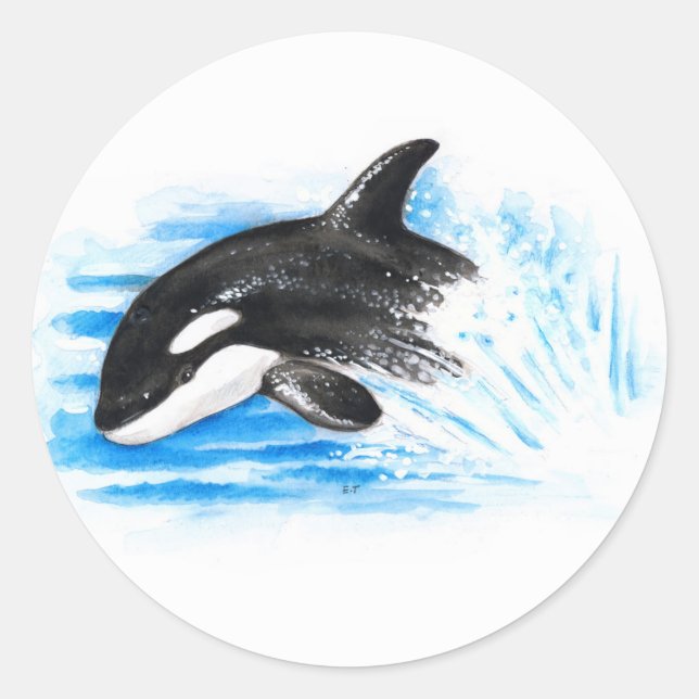Sticker Rond Orca Breaching (Devant)