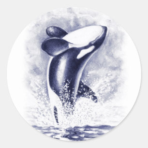 Sticker Rond Orca Breaching