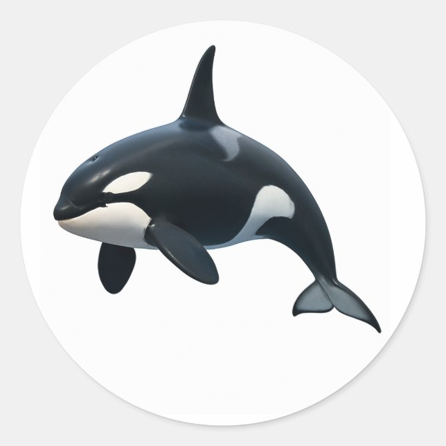 Sticker Rond Orca en mouvement (Devant)