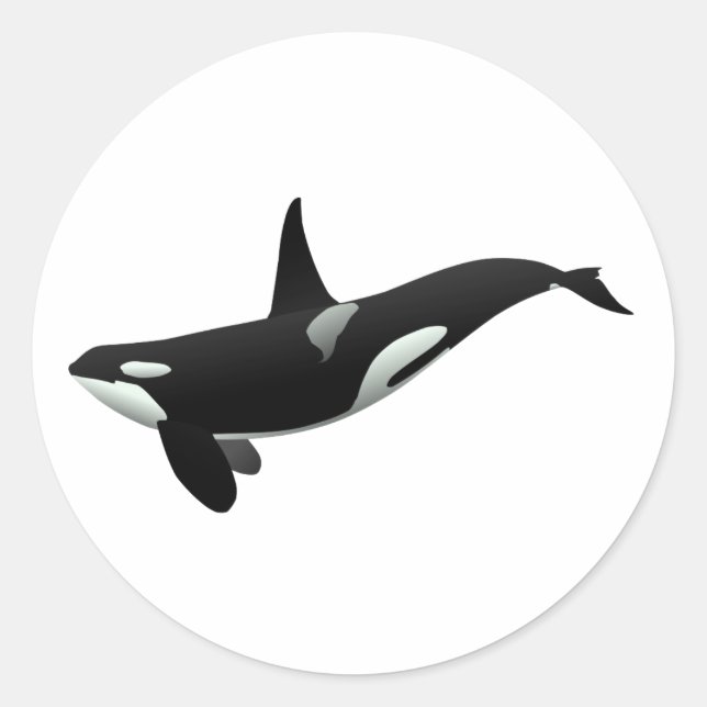 Sticker Rond Orca whale illustration - choose background color (Devant)