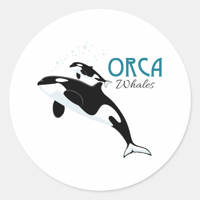 Sticker Rond Orca Whales (Devant)