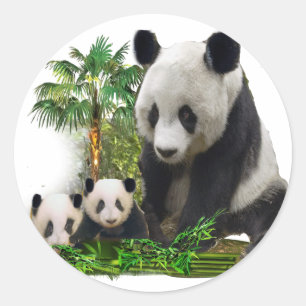 Sticker Rond Ornement métallique artistique d'ours panda et de 