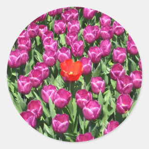 Sticker Rond Oser être différent