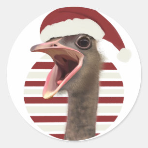 Sticker Rond Ostrich de Noël joyeux avec chapeau de Père Noël