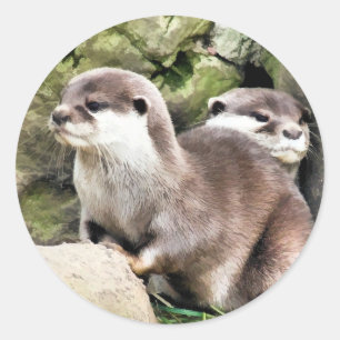 STICKER ROND OTTERS