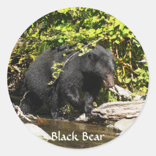 Sticker Rond Ours de la faune Amoureux des animaux Design