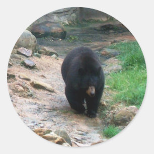 Sticker Rond Ours noir américain