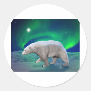 Sticker Rond Ours polaire