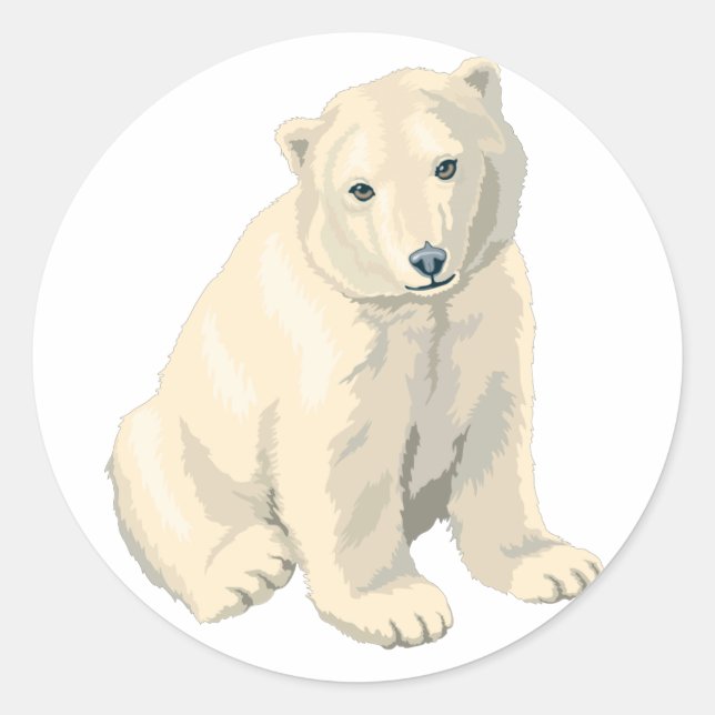 Sticker Rond Ours polaire en voie de disparition (Devant)