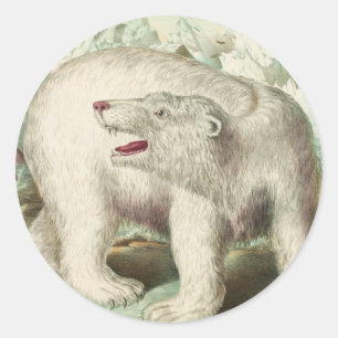 Sticker Rond Ours polaire vintage