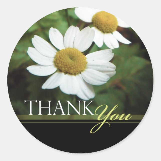Sticker Rond Oxyeye Daisy Merci floral Enveloppe (Devant)