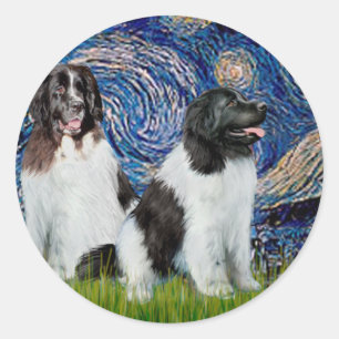 Sticker Rond Pair de Newfie Landseer - Nuit étoilée
