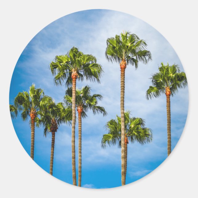Sticker Rond Palm Trees à San Diego, Californie (Devant)