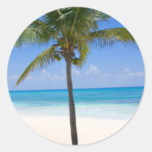 Sticker Rond Palmier des Bahamas