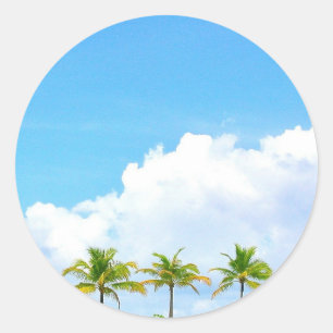Sticker Rond Palmiers Ciel Bleu Et Nuages Modèle Vierge