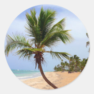 Sticker Rond Palmiers de plage