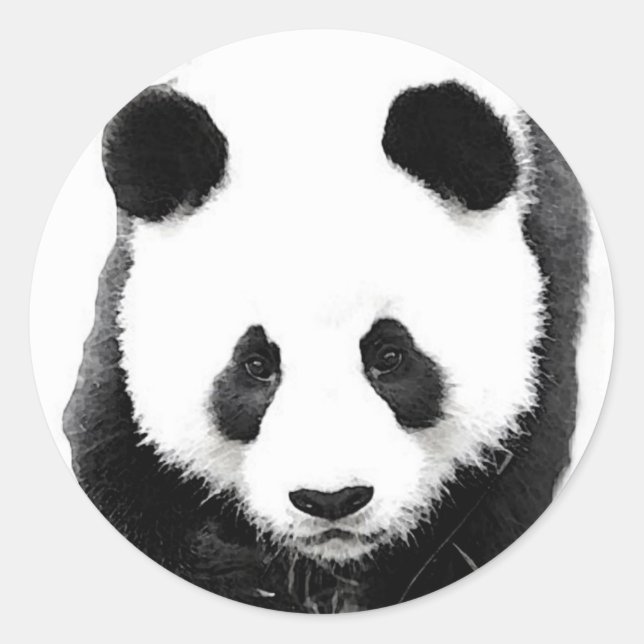 Sticker Rond Panda (Devant)
