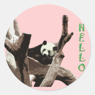 Sticker Rond Panda géant dans un zoo d'animaux sauvages photogr