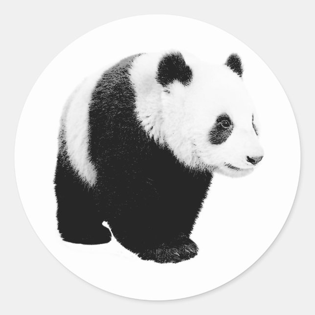 Sticker Rond Panda noir et blanc (Devant)