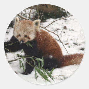 Sticker Rond Panda rouge