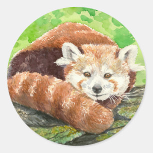 Sticker Rond Panda rouge