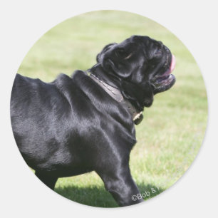 Sticker Rond Panneaux de Carlin noir en marchant
