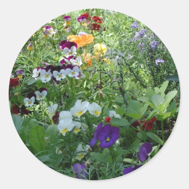 Sticker Rond Pansies (Devant)