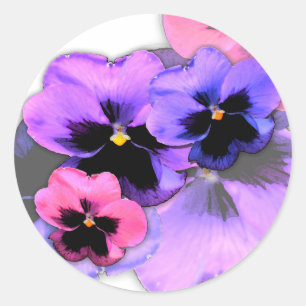 Sticker Rond Pansies aquarelles