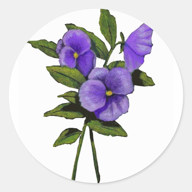 Sticker Rond Pansies violettes Tirées À La Main Sur Blanc (Devant)