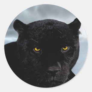 Sticker Rond Panthère noire