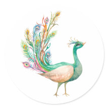Paon à l'aquarelle