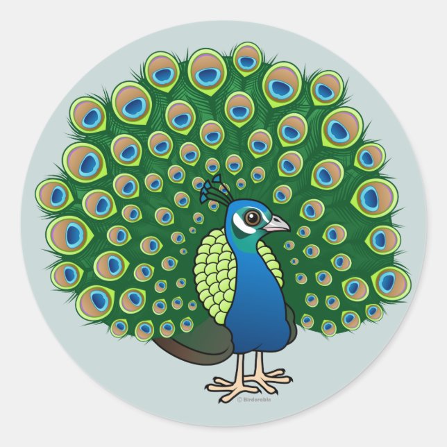 Sticker Rond Paon indien (Devant)