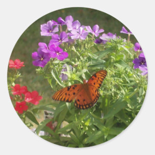 Sticker Rond Papillon