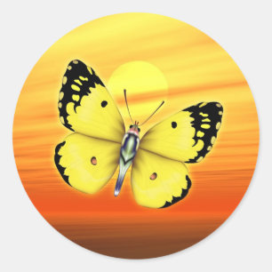 Sticker Rond Papillon