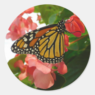Sticker Rond Papillon avec Fleurs Rouges