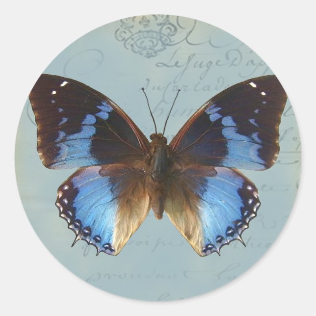 Sticker Rond Papillon bleu (Devant)