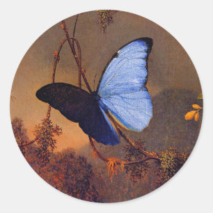 Sticker Rond Papillon bleu Morpho, art
