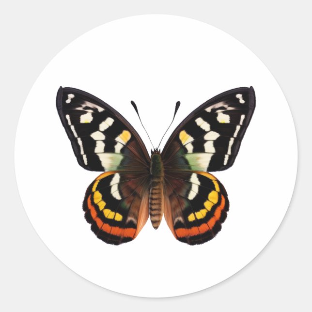 Sticker rond papillon classique (Devant)