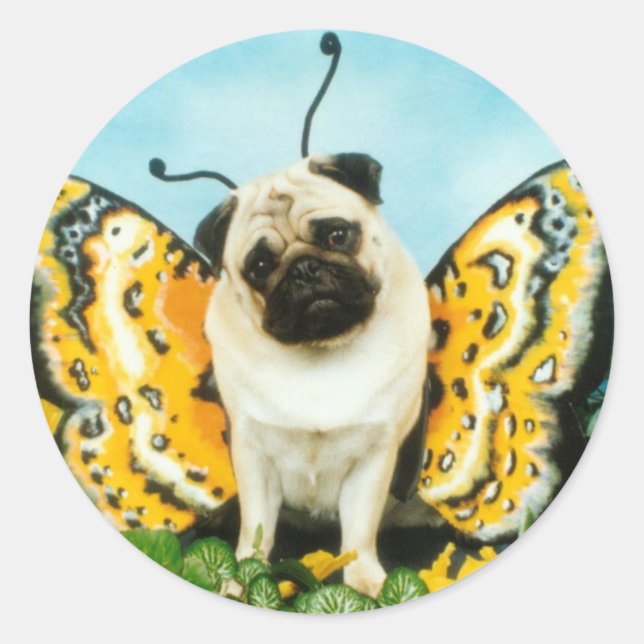Sticker Rond Papillon de chien carlin (Devant)